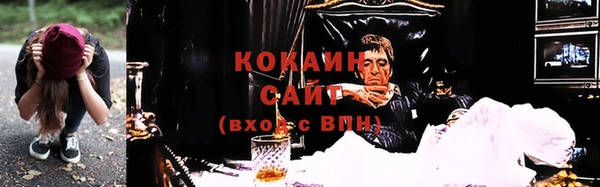 каннабис Новозыбков