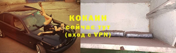 каннабис Новозыбков
