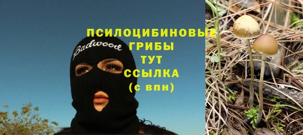 мескалин Нея
